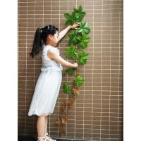 uploads/erp/collection/images/Home Garden/CongDing/XU0610971/img_b/XU0610971_img_b_4